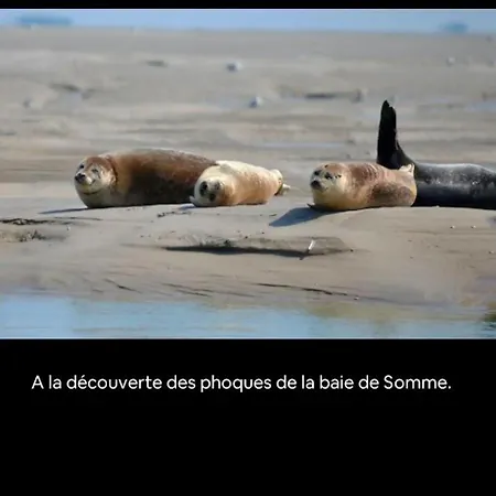 Résidence La Clairière Aux Portes De La Baie De Somme Apartamento Abbeville